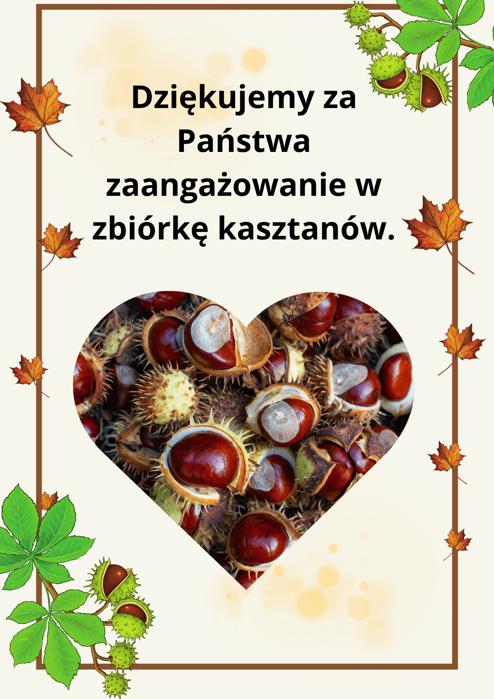 Charytatywna zbiórka kasztanów.