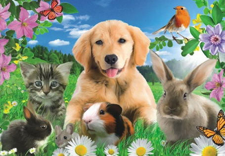 Plan pracy dydaktyczno-wychowawczej na miesiąc kwiecień 2026r.